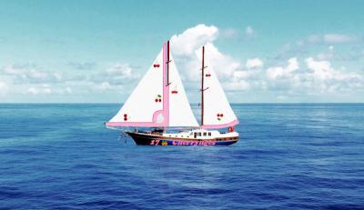 Take Me to the Pink Yacht- Once Upon an Ethereal Diamond - book author Vanessa